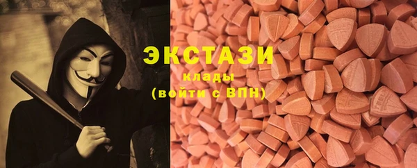 гидра Инсар
