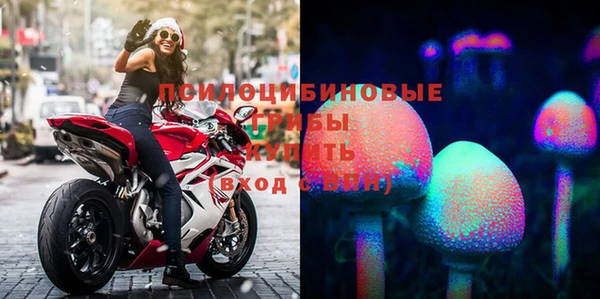 крисы Магас