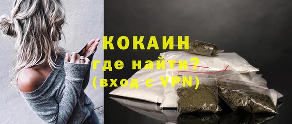 индика Иннополис